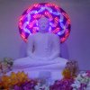 Opening of the new Buddhist Shrine in the office